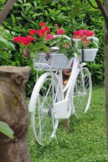 Apartments with parking space Fiorini, Novigrad - 6926 - 1