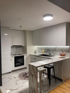 Elegant & Spacious 2 Bedroom 2 Bathroom Apartment - 4