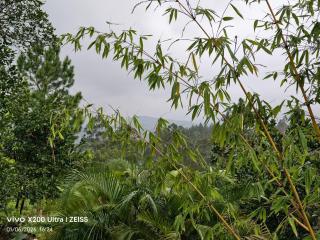 Final Gate Eco Resort - 4