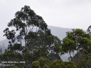 Final Gate Eco Resort - 8