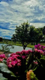 Pousada Paraiso valle verde - 6