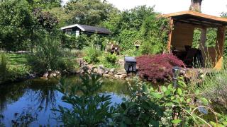 de drie populieren - 5