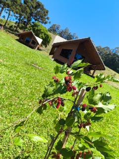 Pousada das Castanheiras - 9