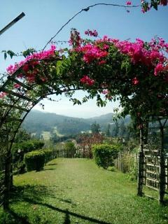 ASTANA by Rumah Chematsunami - 2