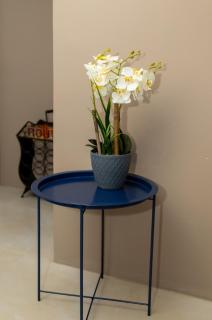 Cozy Private Residence near San Fernando malls - 8