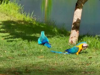 Pousada Paraiso valle verde - 5