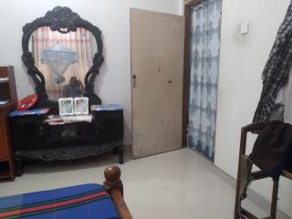 Peacock home stay - 1