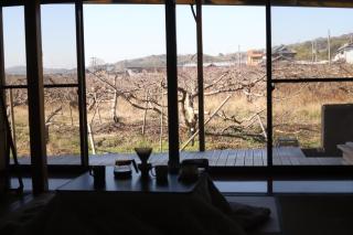 柿畑の宿 Private stay with farm and house all to yourself - 0