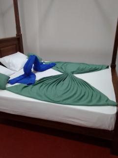 Dimuthu Cottage Hiriketiya - Dikwella - 9