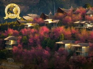 Garrya Mù Cang Chải - 0