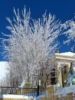 Chalet in arez TERRA - Adagio - 4