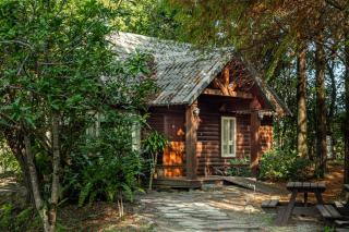 Green Forest Villa - 5