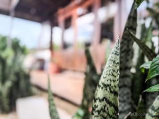Casa do Mar - 8