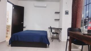 Depa 5min Tren Maya y Fac Ing Qfb Pet Friendly - 3