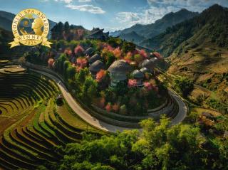 Garrya Mù Cang Chải - 9