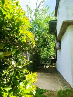 La Pasiflora 300 meters from the beach - 2