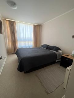 Exclusivo Departamento por días en Parque Urbano Concepción - 0