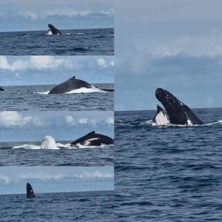 Cabaña San Miguel - 5