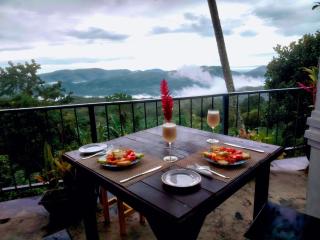 Sara's Grove Boutique Bungalow haputale - 0