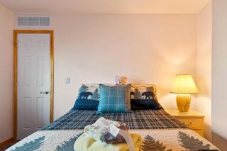 Breathtaking Cabin Backing the National Forest - 5