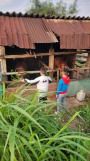 Vintage homestay Quy Nhon - 1