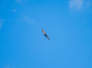 Enjoy Sunrise Pacitan Camping Ground - 8