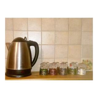 Charming Oasis in Marrakesh - 6