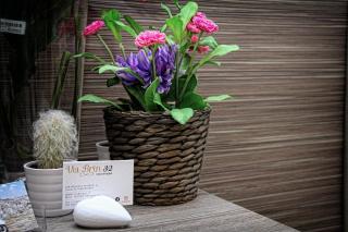 B&B ViaBrin 32 - Altamura - 1