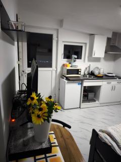 Modern lux studio 2 - 9