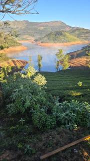 Silver lake nature escape - 9