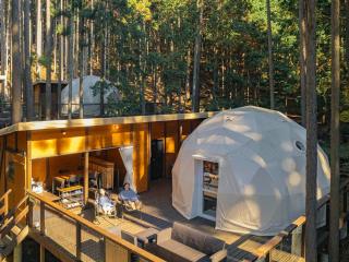 エメラルドの森 - 0