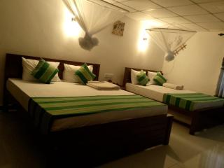 Shine Haven Ella - 0