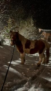 Arany Vendégház - 6