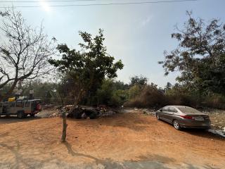 Roshini Homestay Hampi - 1