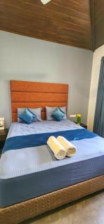 Coco Forest Villa - Luxury Farm Stay - 5