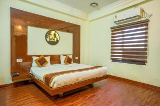 The Ashoka Tiger - 9