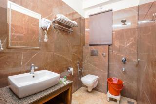 The Ashoka Tiger - 7