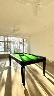 Blue Pine Orchards - 6