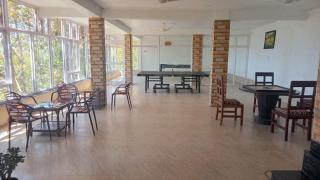 Blue Pine Orchards - 7