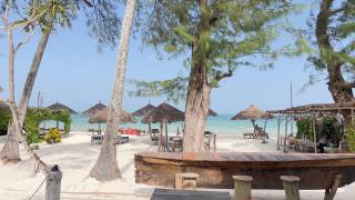 Seashore Beach hotel and Bungalow - 3