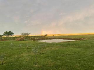 Olyf guestcottage - 8