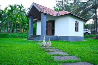 Phalam Homestay - 9