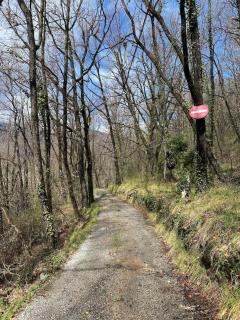 Le Soleil de Flaut Beautiful studio house Nature - 6