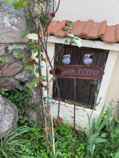 Le Soleil de Flaut Beautiful studio house Nature - 3