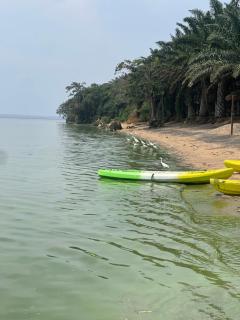 Bugoma Palms Resort Beach and Hotel -  - 2