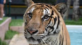 B2 Phuket Premier Hotel - 7