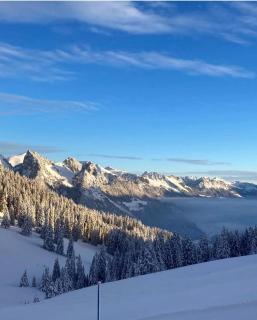 Schutzhaus Suiza - 3