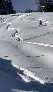 Schutzhaus Suiza - 1