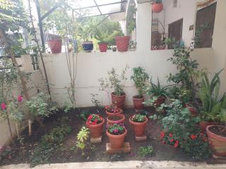 Home Stay with Sanjeev - 8