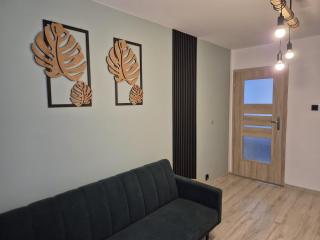 Apartament na Sowiej - Przylesie - 4